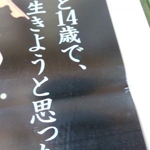 poster Studio Ghibli