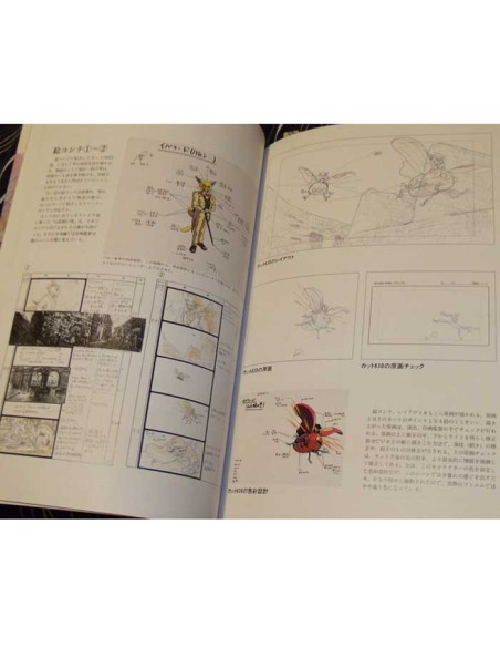 Studio Ghibli