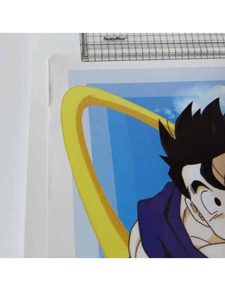 Poster Dragon Ball Z: 