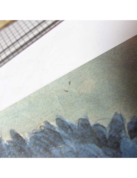 Nausicaa 1 poster Studio Ghibli