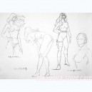 Space Cobra 1981 Model Sheet 2