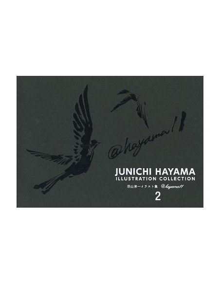 Junichi Hayama Illustration Collection 2