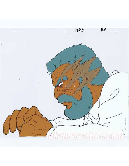 Ginga Nagareboshi Gin Anime cel R