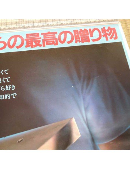 Japanese vintage poster