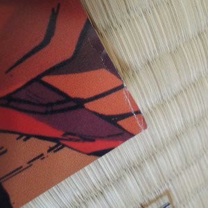 Dragon Ball Z Poster