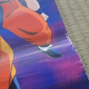 Dragon Ball Z Poster