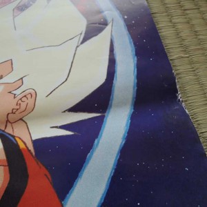 Dragon Ball Z Poster