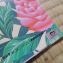 Poster Dragon Ball Z: Goku & Gohan nuage 2