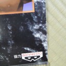 Virtual Fighter 2 Sega poster 2