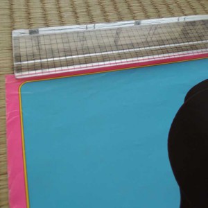 College Fou Fou Fou Poster 