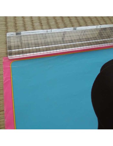 Kimengumi Highschool Poster 