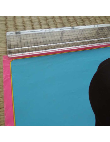 Kimengumi Highschool Poster 