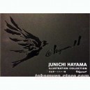 Junichi Hayama Illustration Collection 2