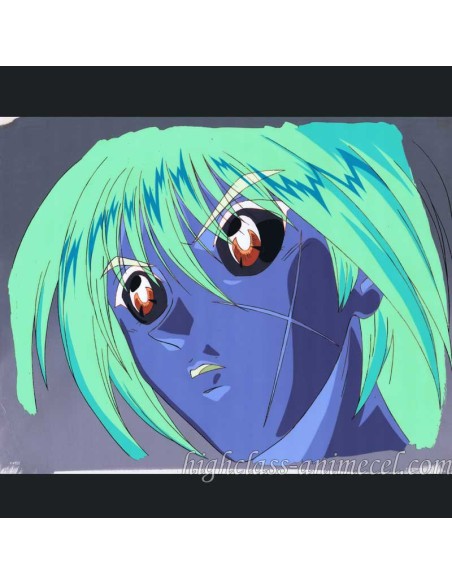 Kenshin celluloid