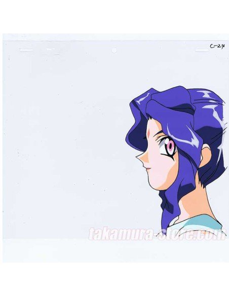 El Hazard OPENING anime cel