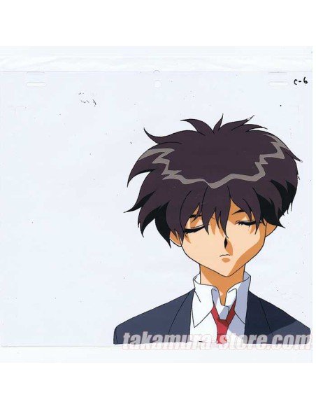 El Hazard OPENING anime cel