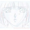 Vampire Princess Miyu sketch