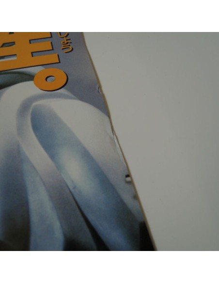 Japanese vintage poster