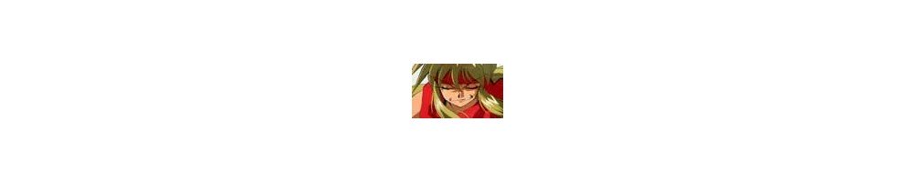gokudo kun