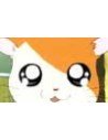 Hamtaro