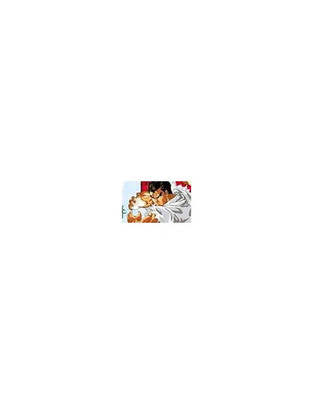 Street Fighter II