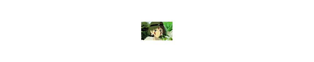 Princesse Mononoke anime cel