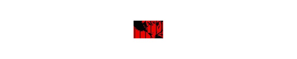 Cowboy Bebop celluloid, カウボーイビバップセル画