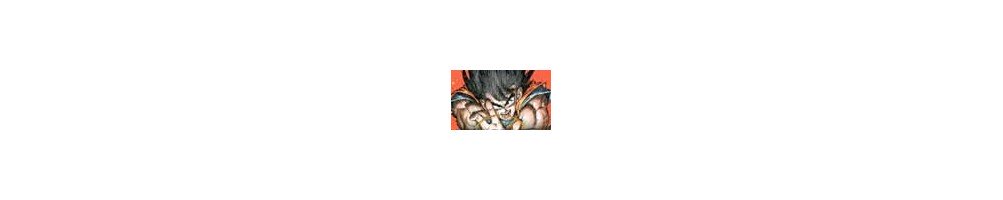 Artbooks Dragon Ball Z