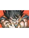 Artbooks Dragon Ball Z