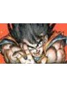 Artbooks Dragon Ball Z