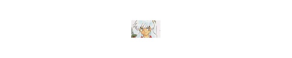 Inuyasha artbooks