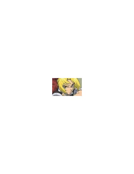 Artbooks Fullmetal Alchemist