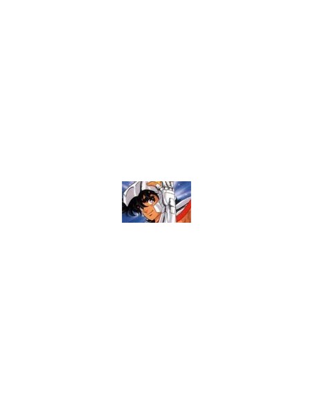 Saint Seiya/chevaliers du Zodiac