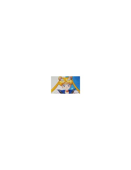 Sailor Moon Posters