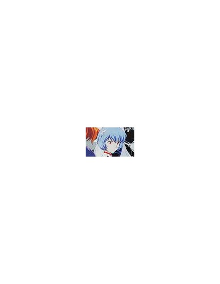 Artbooks Evangelion