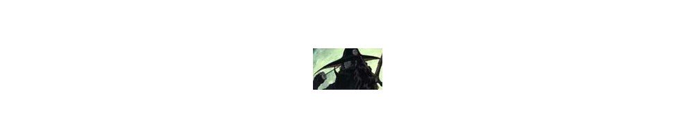 Vampire Hunter D Bloodlust