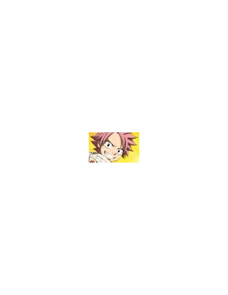 Fairy Tail